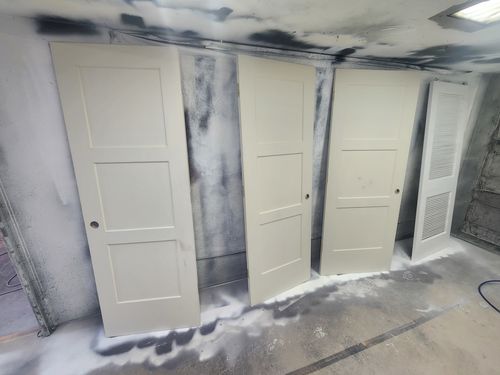 Wild Fox Painting Doors project
