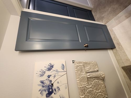 Wild Fox Painting Doors project