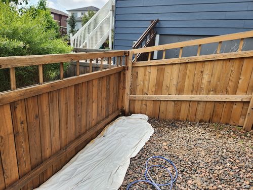 Wild Fox Painting Exterior project
