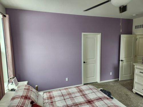 Wild Fox Painting Feature Walls project