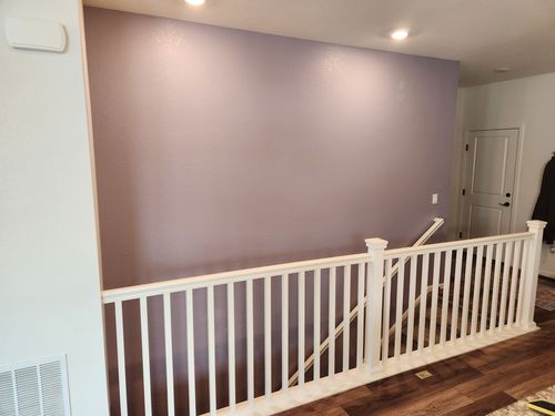 Wild Fox Painting Feature Walls project