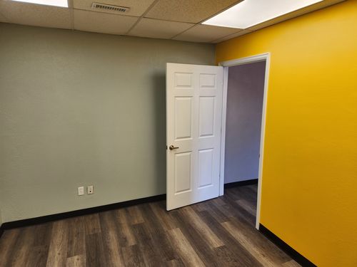 Wild Fox Painting Feature Walls project