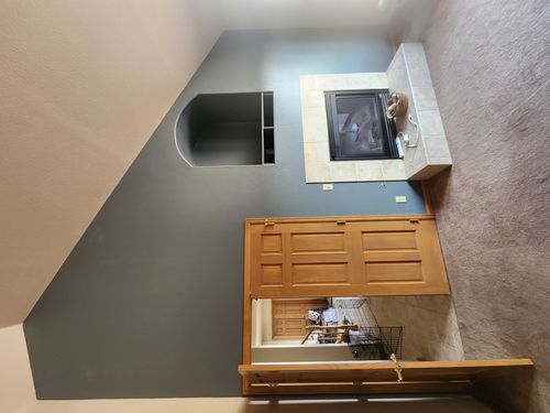 Wild Fox Painting Feature Walls project