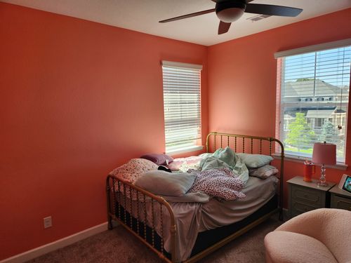 Wild Fox Painting Feature Walls project