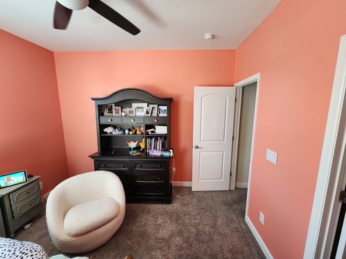 Wild Fox Painting Feature Walls project