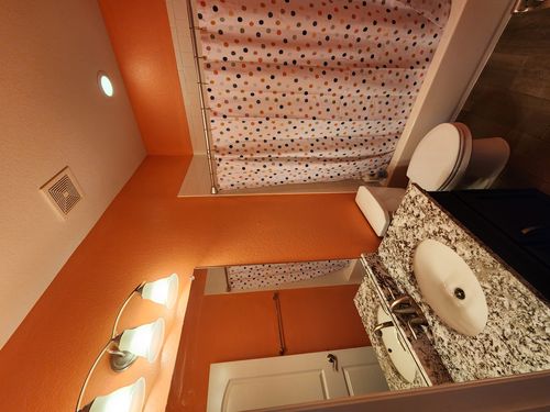 Wild Fox Painting Feature Walls project
