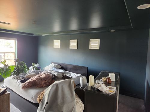 Wild Fox Painting Feature Walls project