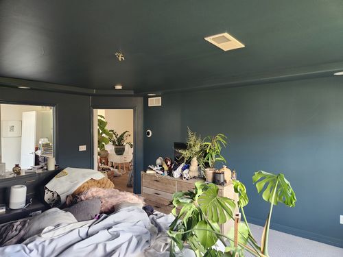 Wild Fox Painting Feature Walls project