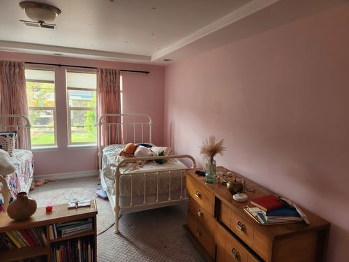 Wild Fox Painting Feature Walls project