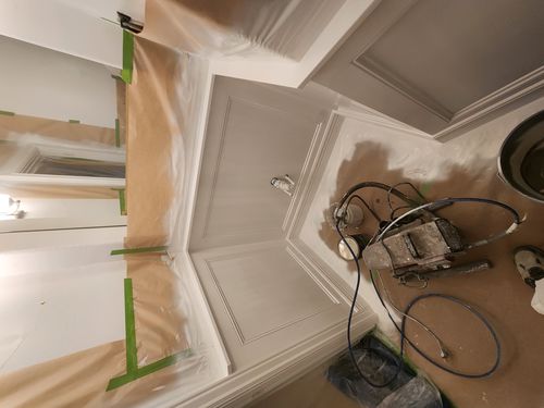 Wild Fox Painting Feature Walls project