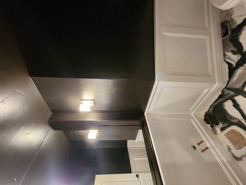 Wild Fox Painting Feature Walls project