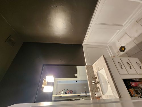 Wild Fox Painting Feature Walls project