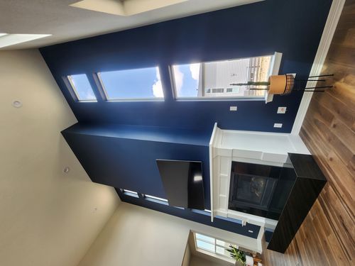 Wild Fox Painting Feature Walls project