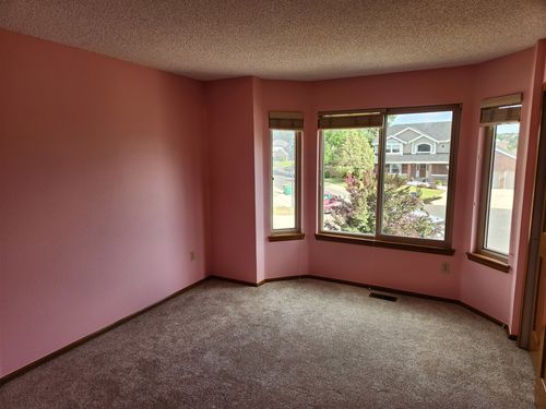 Wild Fox Painting Feature Walls project