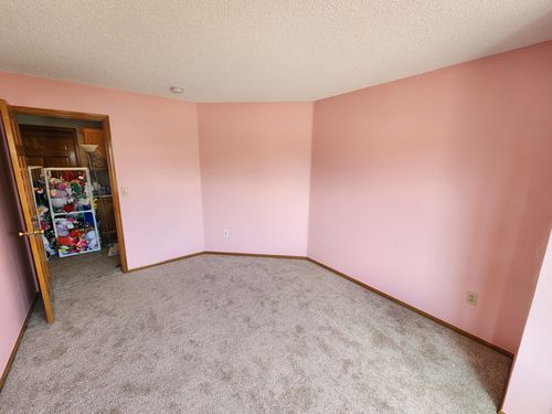 Wild Fox Painting Feature Walls project