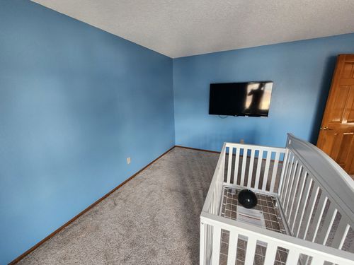 Wild Fox Painting Feature Walls project