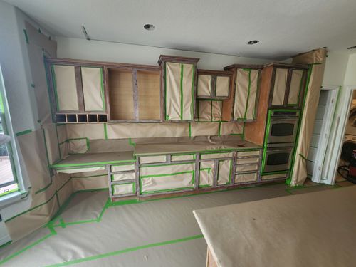 Wild Fox Painting Feature Walls project