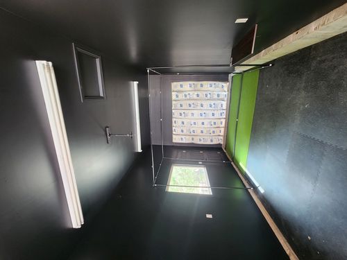 Wild Fox Painting Feature Walls project