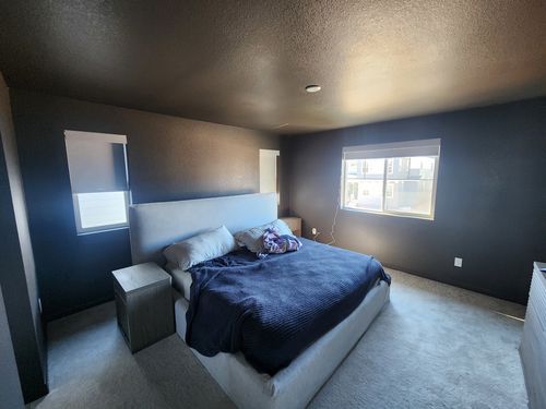 Wild Fox Painting Feature Walls project
