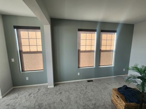 Wild Fox Painting Feature Walls project