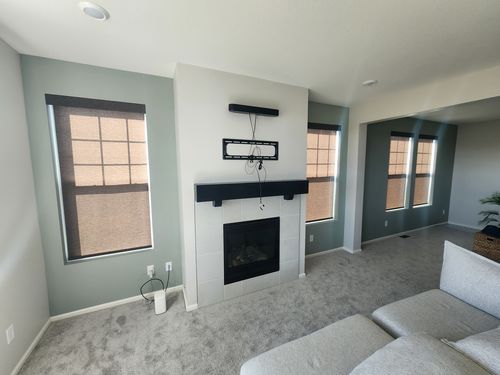 Wild Fox Painting Feature Walls project