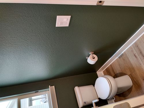 Wild Fox Painting Feature Walls project