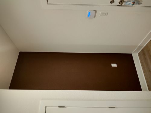 Wild Fox Painting Feature Walls project