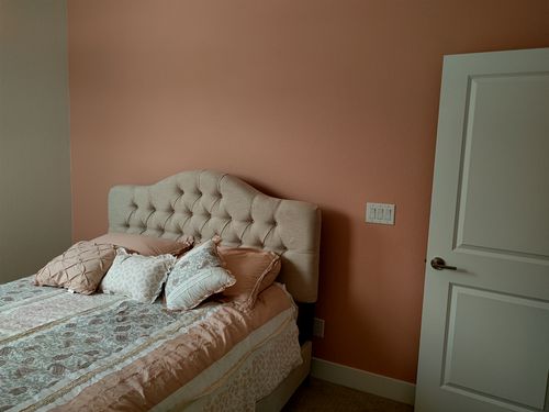 Wild Fox Painting Feature Walls project