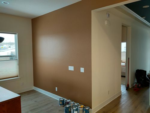Wild Fox Painting Feature Walls project