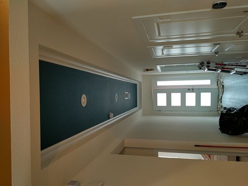 Wild Fox Painting Feature Walls project