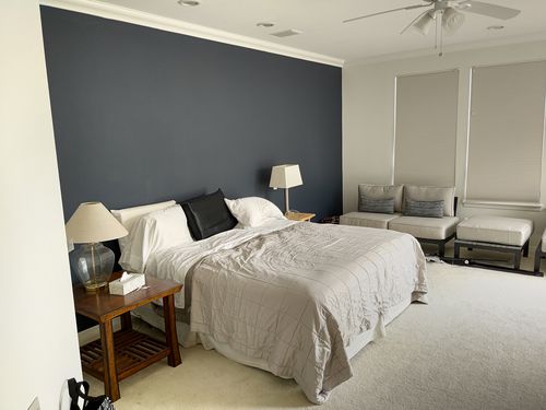 Wild Fox Painting Feature Walls project