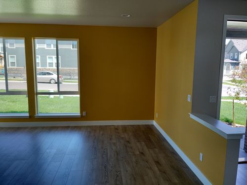 Wild Fox Painting Feature Walls project