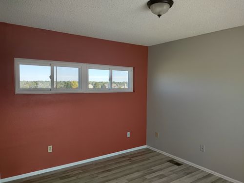 Wild Fox Painting Feature Walls project