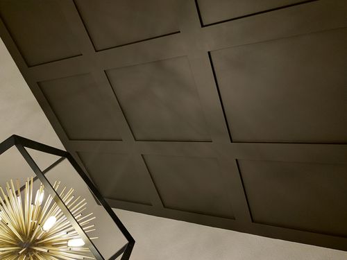 Wild Fox Painting Feature Walls project
