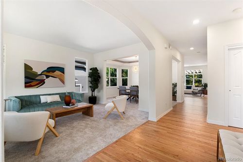 Wild Fox Painting Interior project