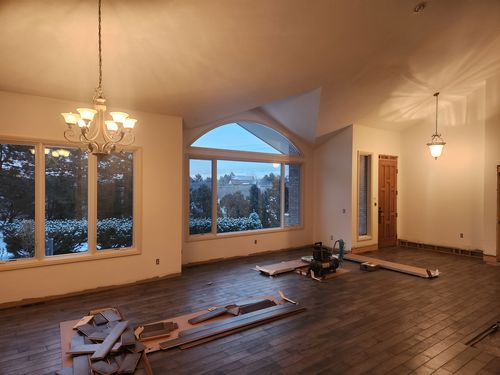 Wild Fox Painting Interior project