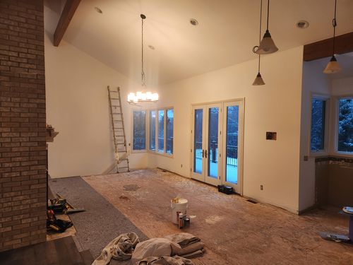 Wild Fox Painting Interior project