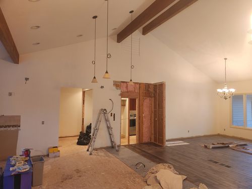 Wild Fox Painting Interior project