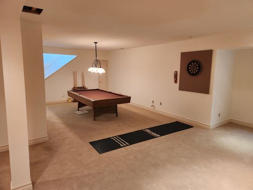 Wild Fox Painting Interior project
