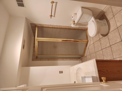 Wild Fox Painting Interior project
