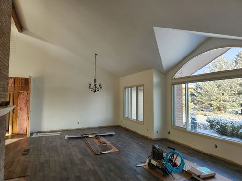 Wild Fox Painting Interior project