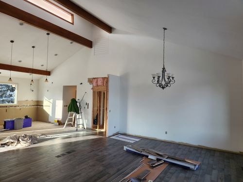 Wild Fox Painting Interior project