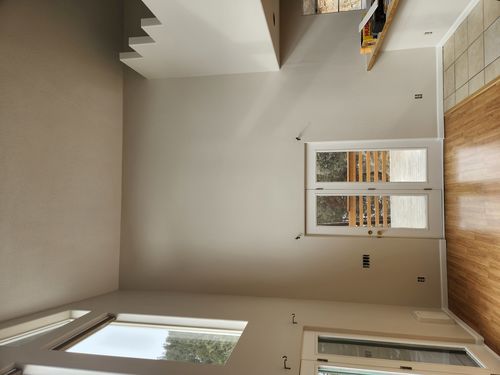 Wild Fox Painting Interior project