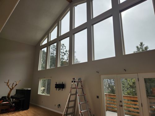 Wild Fox Painting Interior project