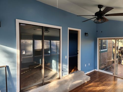 Wild Fox Painting Interior project