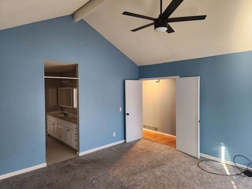 Wild Fox Painting Interior project