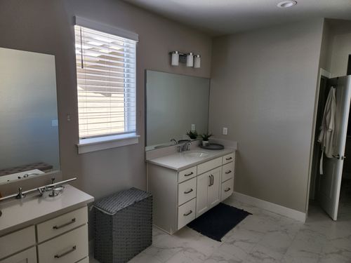Wild Fox Painting Interior project