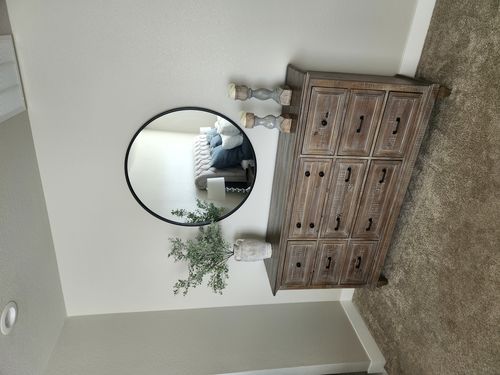 Wild Fox Painting Interior project