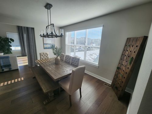 Wild Fox Painting Interior project