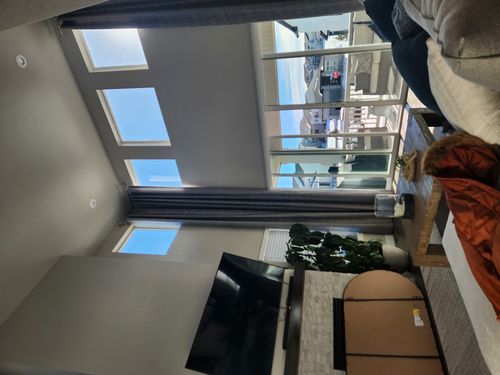 Wild Fox Painting Interior project